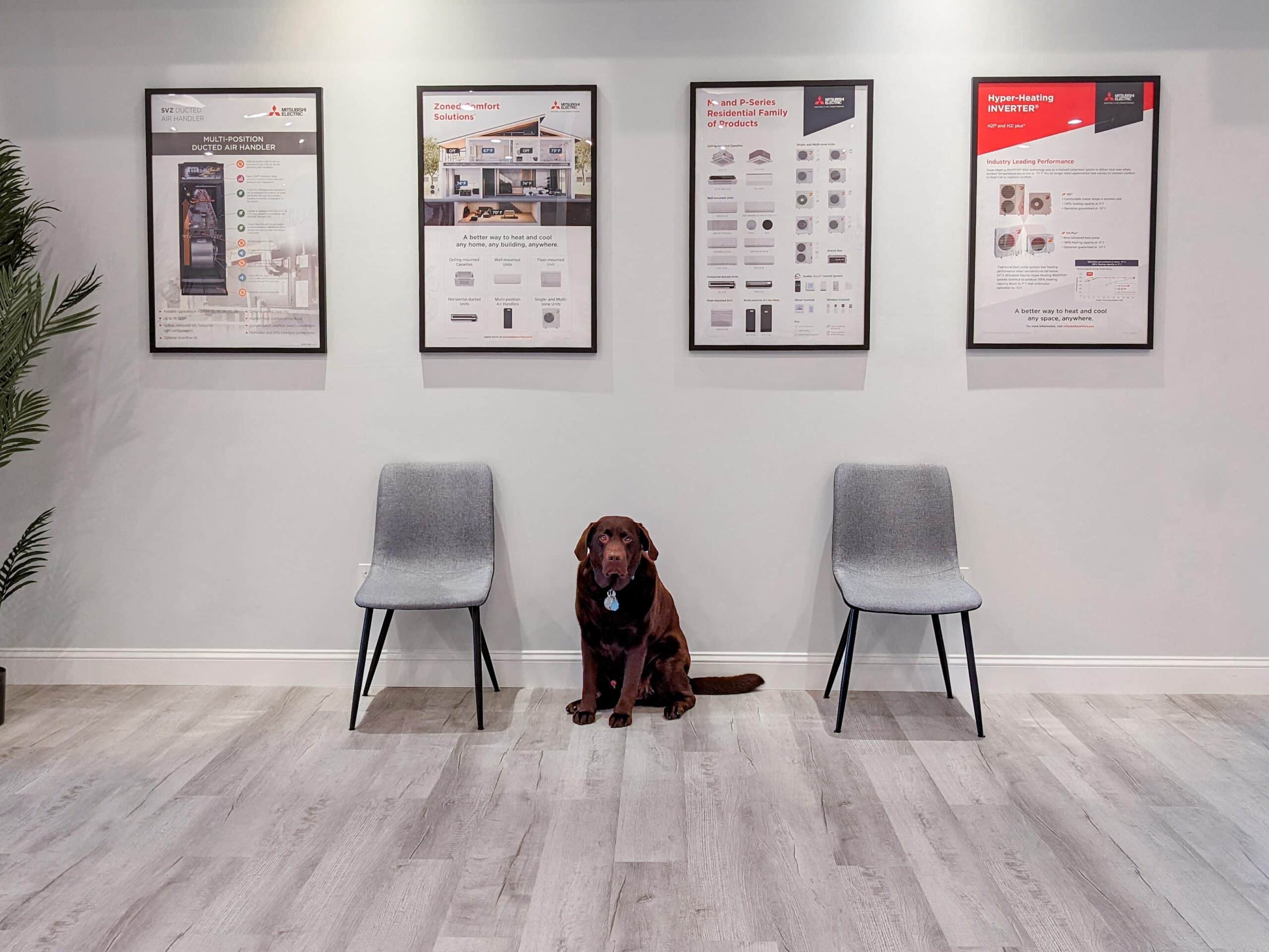 Leroy in between chairs at the Kearney HVAC Showroom