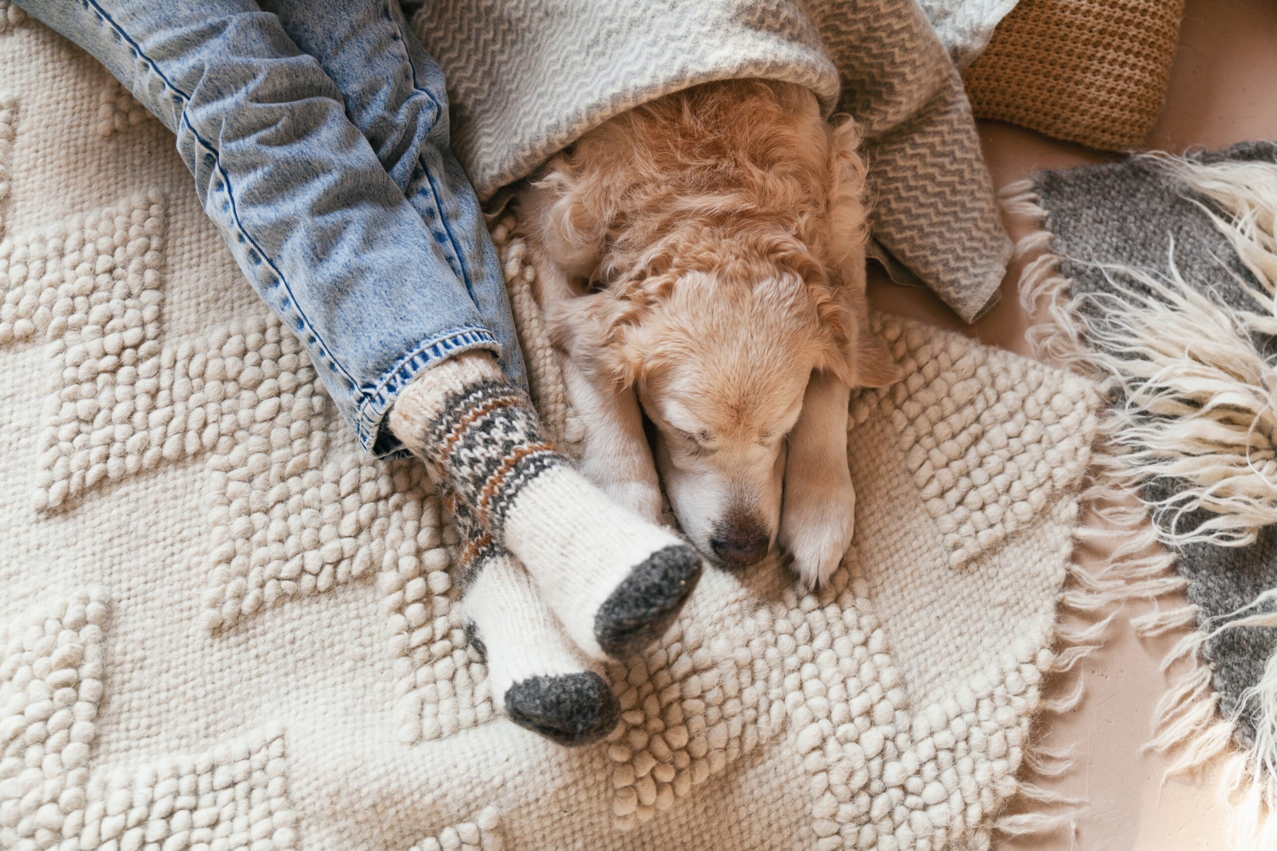 a dog laying next to a person's legs