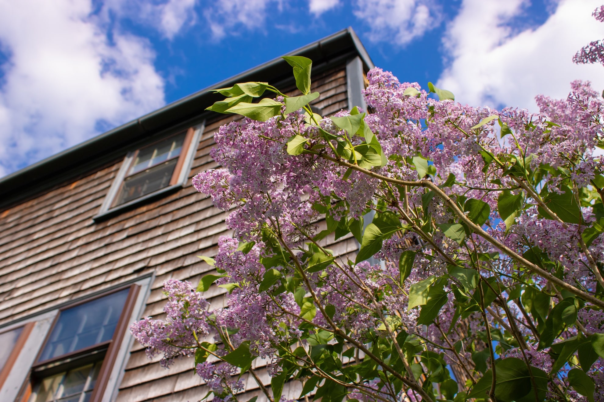 Heating, Cooling, and Electrical Services in Atkinson, NH